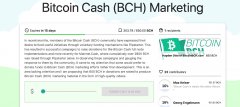 Flipstarter运动旨在为病毒比特币现金营销筹集资金