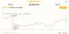 Crypto社区监控Bitfinex钱包和古怪的6％BTC Premium